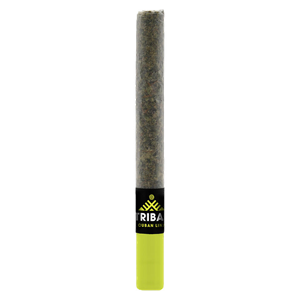 Tribal - Cuban Linx Ceramic Tip Pre-Roll - 1x1g